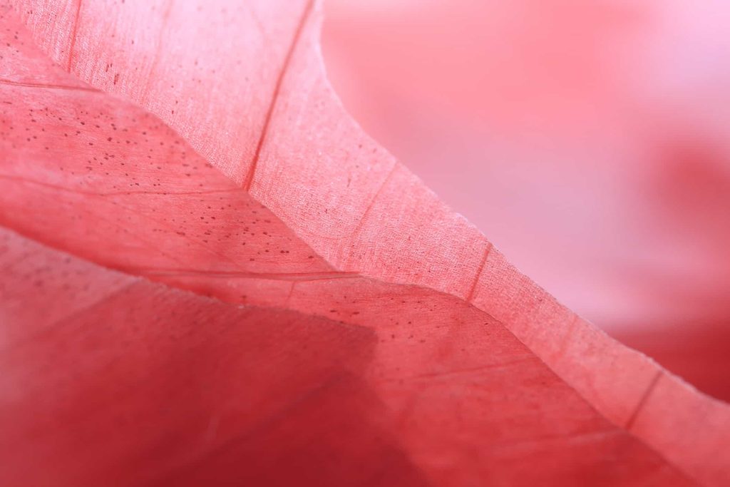 A Letter to Our Community from Noom’s Founders